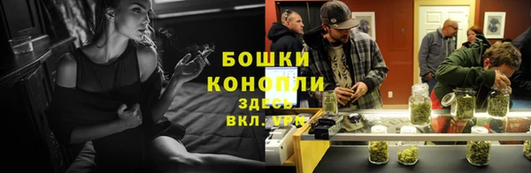 стафф Гусь-Хрустальный