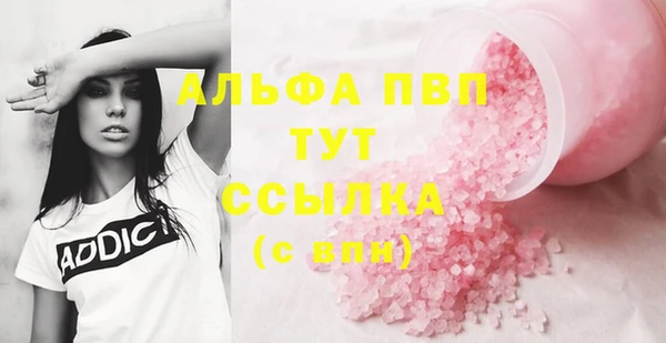 эйфоретик Гусев