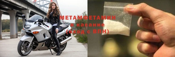 шишки Новодвинск