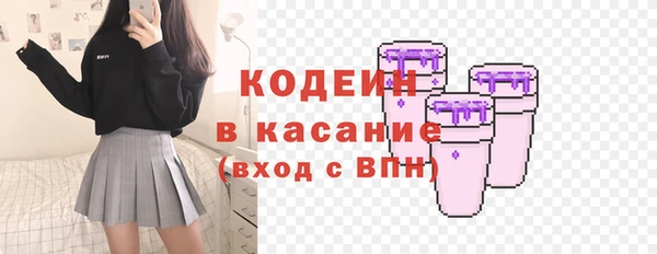 эйфоретик Гусев