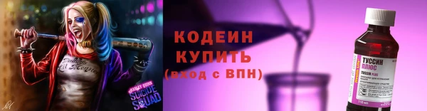 эйфоретик Гусев