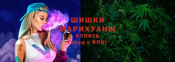 стафф Гусь-Хрустальный