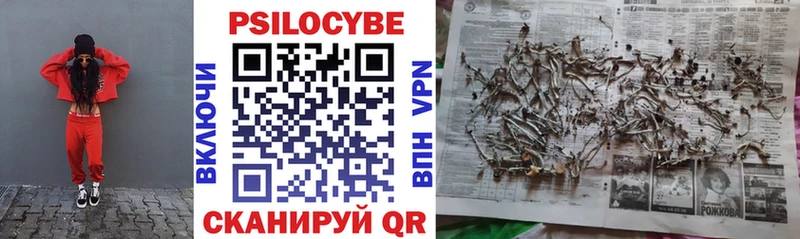 Псилоцибиновые грибы мухоморы  Вольск 