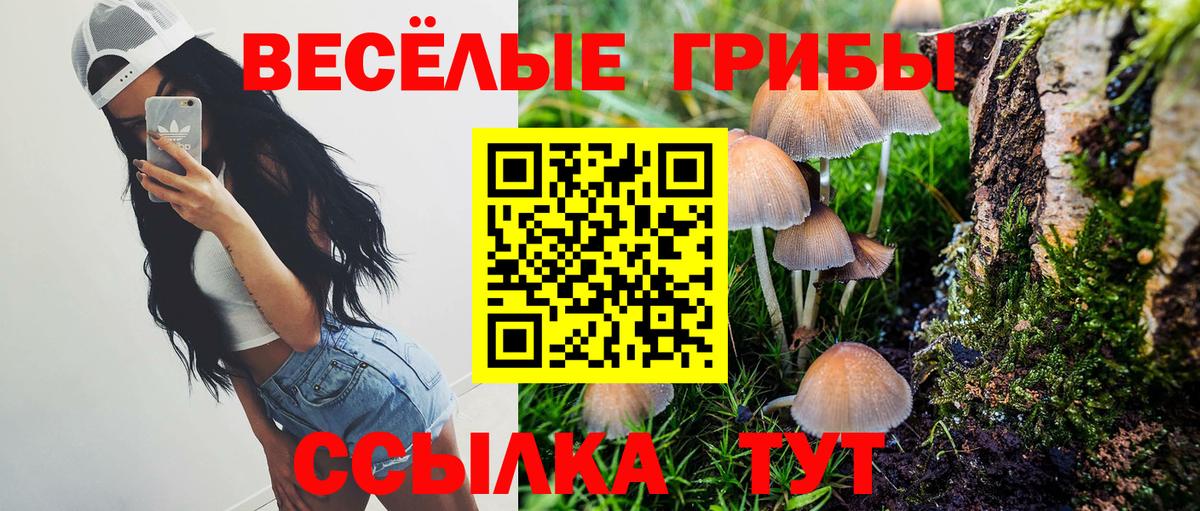 Галлюциногенные грибы Psilocybe Вольск