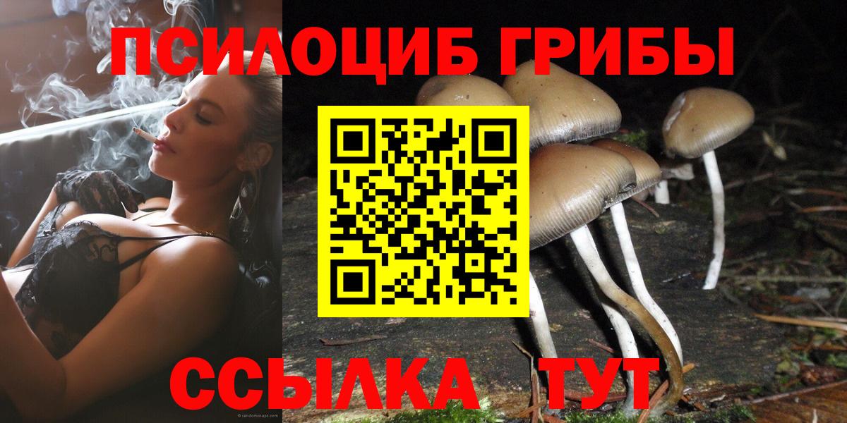 Галлюциногенные грибы Psilocybine cubensis  Вольск 