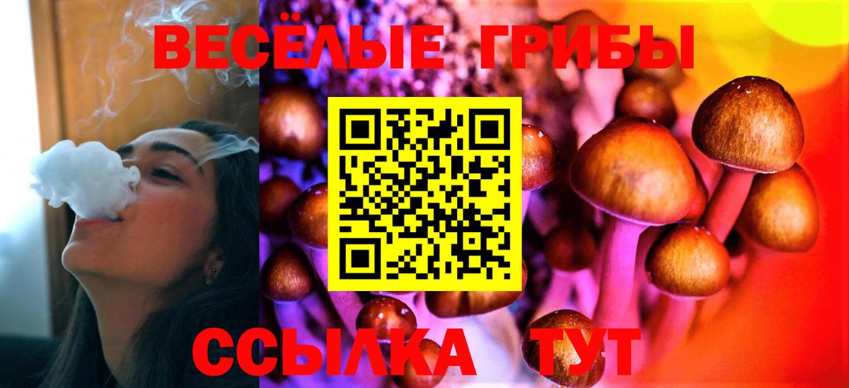 Вольск  Галлюциногенные грибы мухоморы  Вход с VPN 
